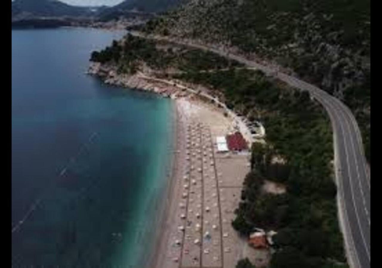 Seafront Appartement *